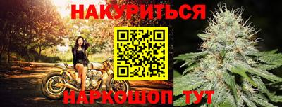 a pvp Будённовск